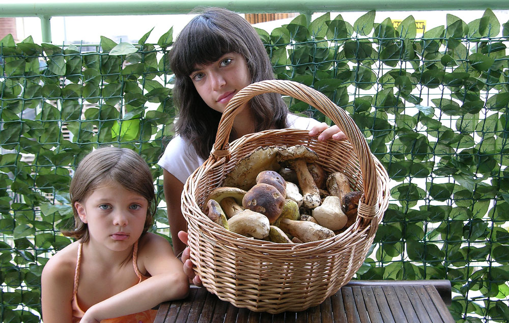 Piove domani si va a funghi.....